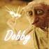 Dobby-main